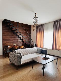 Cottage - Bakuriani - 1