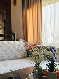 Cottage - Bakuriani - 3