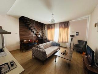 Cottage - Bakuriani - 5