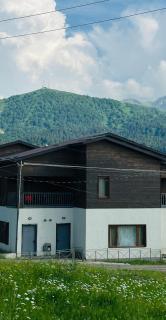 Cottage - Bakuriani - 6