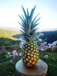 Rancho Alto Túcan - 6