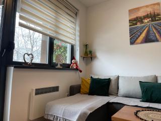 Zlatni Bor Apartment - 6