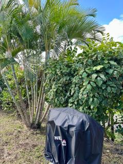 Villa Makata - Piscine privée & grand jardin, Vauclin - 9