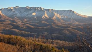 Black Bear Den at Fox Run - 8