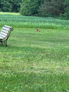 Agroturystyka-wypoczynek - 6