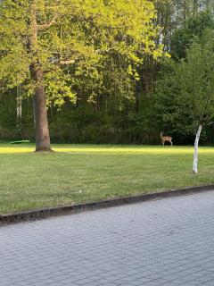 Agroturystyka-wypoczynek - 5