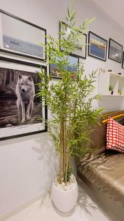 Appartement S1 neuf dans un quartier chic à Soukra - 8