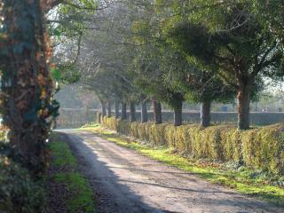 Havre de Paix - Séjour familial en pleine nature - 8
