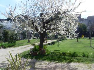 Chambre Orchidée Chez Mamé Marthe - Vallon-Pont-dʼArc - 2