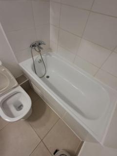 Bosque y mar de Papudo - 9