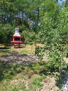 La Căsuța Racosana -Casa Spațioasă cu Grădina și Terasa și Gastro Local aproape - 9