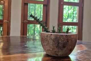 Casa Andrew - Cozy Island Home - 7