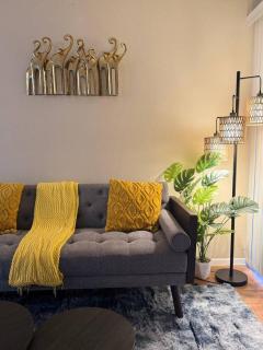 Bluebeam 1 Bed near Medical Center and NRG with Pool - 9