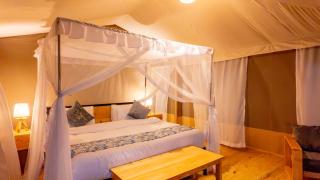 Misako Ndutu Migration Camp - 2