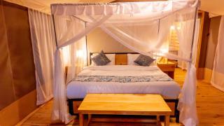 Misako Ndutu Migration Camp - 1