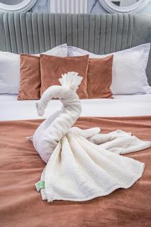 Iancu Jianu Premium Stay Studio 1 - 4