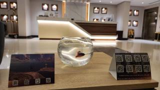 Maskan Alolya Serviced Apartment - 5