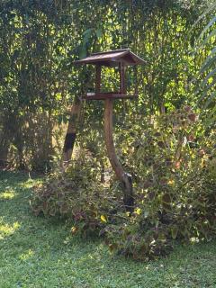 Acorde com o canto dos passaros - 7