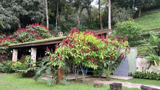 Acorde com o canto dos passaros - 1