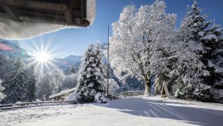 Naturfreunde Hostel Grindelwald - 9