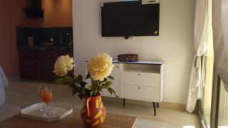 Les Studios de l'Oasis - 1