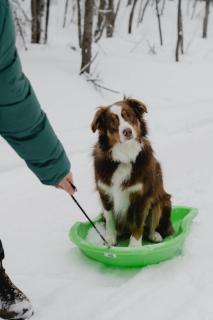 Two Zen Houses 3 & 6 - Villas and Spas - 6