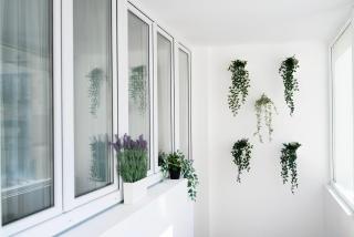 Ultracentral Cişmigiu Park - 1