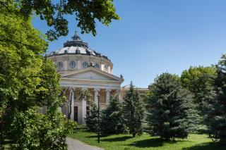 Ultracentral Cişmigiu Park - 4