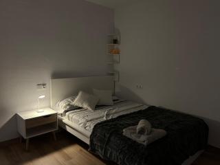 León Turistico Centro - 4