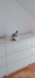 Apartman Skyview - 2