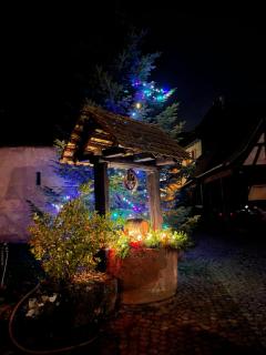 La cour du vigneron - Turckheim - 7