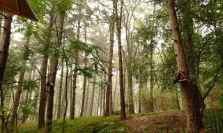 CityPark Residence - 6