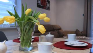 Natur & Wellness Ferienhaus Garden - 6