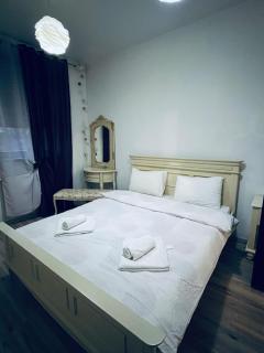 Vila de închiriat în Bucium ! 3 dormitoare ,2 băi - 2