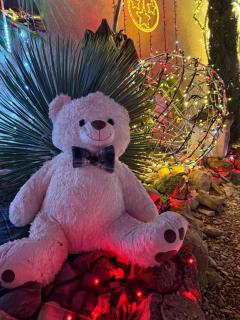 L'escale en Othe avec jacuzzi - 4