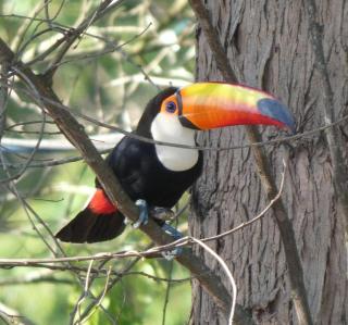 Recanto da Natureza - 7