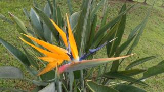 Recanto da Natureza - 4