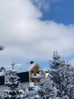 Marmotta Paltinis - 8