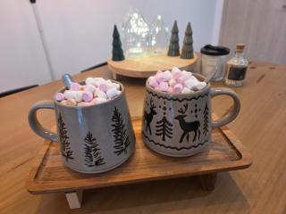 Nordic View Residence - Şelimbăr - 9