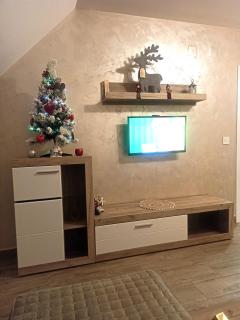 Apartman Maksimović Divčibare - 3
