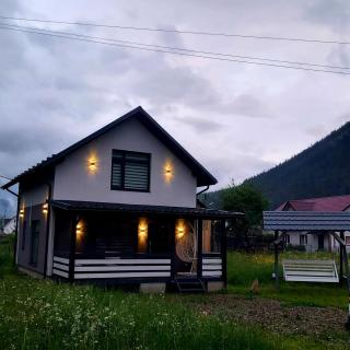 gray house kryvorivnya - 8