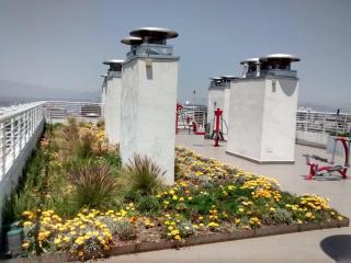 Nice downtown apartment with 1 bedroom - 7