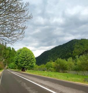 gray house kryvorivnya - 5