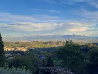 Poggio della Roverella Country House - 2