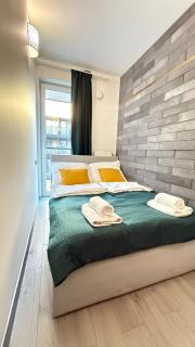 ManuPlace Grey By DreamAp - 3