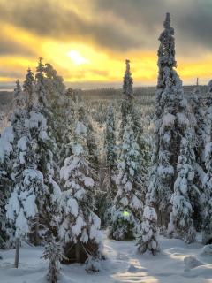 Hietavilla Borealis - Hot tube - Sauna - Fireplace - 11kW EV-refuel - Landscape view - Silence - 9