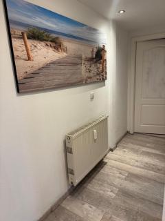 Hinterhaus im Elbhang in Dresden zw, Loschwitz und Pillnitz - Sächsische Schweiz - 4