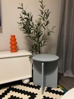 OSKA Apartament przy parku, klimatyzacja, TV, parking, Tauron, Expo, komunikacja miejska - 6