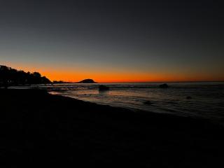 Domo Algarrobo 1 - 1