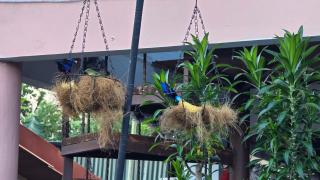 Alojamientos N&S - 9